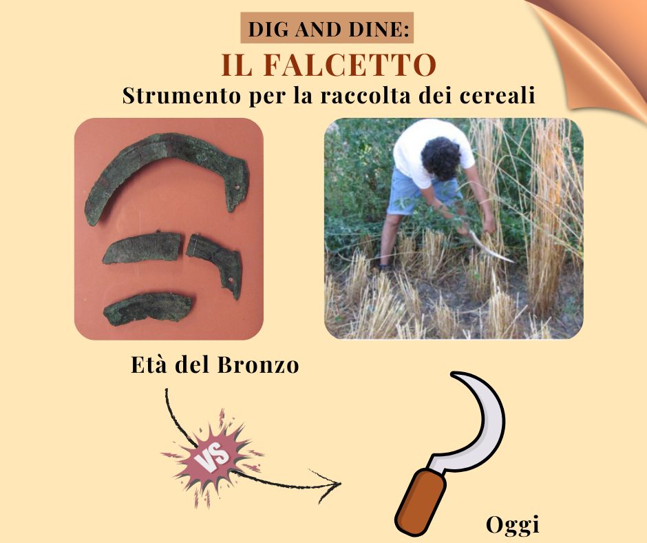 Il falcetto